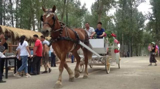 易县的景区朋友圈，满满的美好！