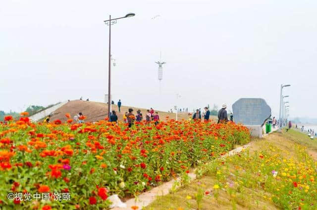 免费！这8市的人赶紧看过来！池州旅游景区“免费开放周”活动即将再度来袭