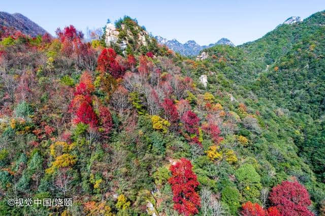 免费！这8市的人赶紧看过来！池州旅游景区“免费开放周”活动即将再度来袭