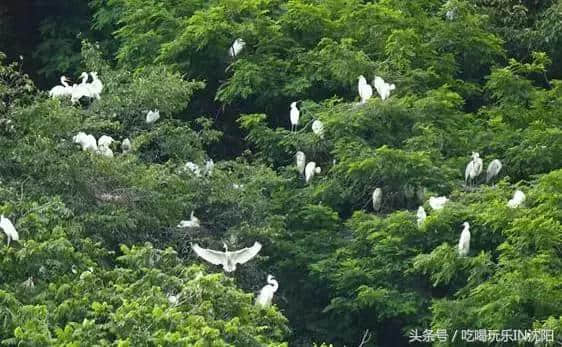 从沈阳出发，去这五大景点玩儿最省钱！