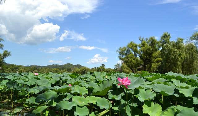 推荐一个好地方，避暑山庄的游玩全新攻略