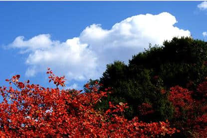 河南又一阔绰的小众景点！离太行山不远，人少景美，从不收门票