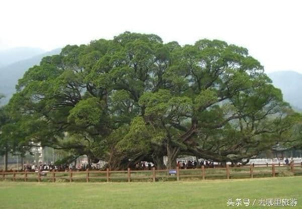 阳朔之美美如画，游阳朔几个必去的地方！