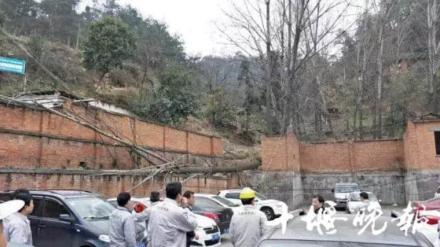 今天十堰风太狠！掀翻屋顶、拔起大树、砸坏汽车，大雪随后就到！