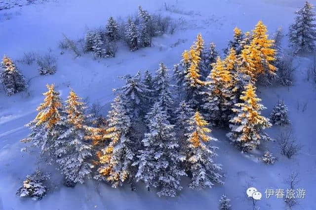 冰雪之冠 林都伊春，春节黄金周旅游好去处！