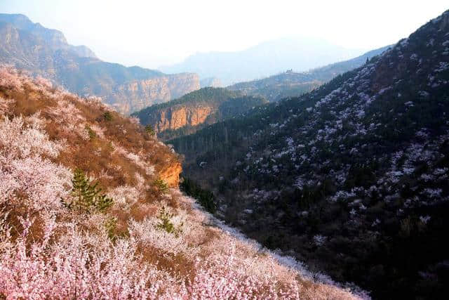 河南这4月春色旖旎,驴友首推&quot;穷游地&quot;！曾接待过70个国家旅行团!