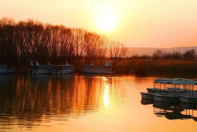 探秘黄河湿地独特景观——洽川