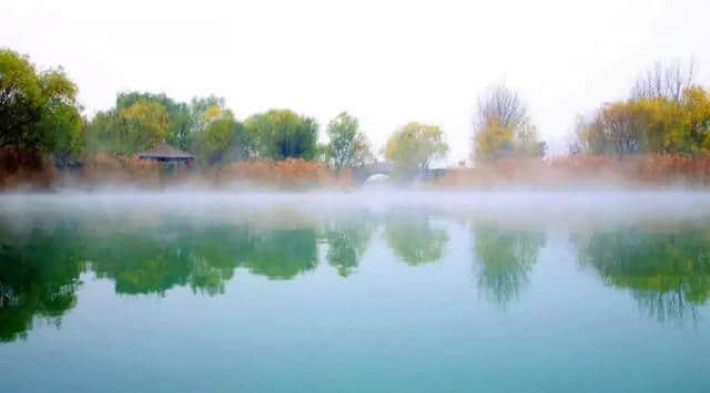 探秘黄河湿地独特景观——洽川