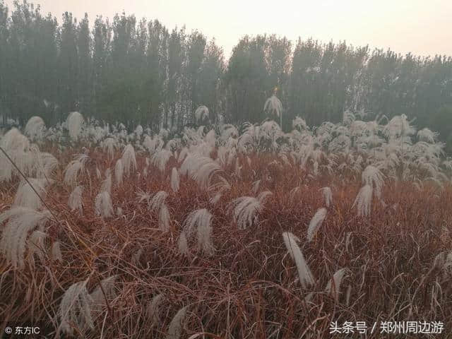 郑州有什么好玩的地方 必去的郑州旅游景点大全