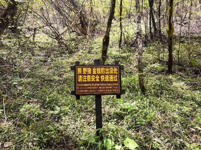 自驾游中国：神农架之行第一天神农顶景区（上）