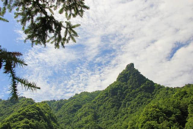 探秘神农架，一天游了四个5A级景区，拼了！