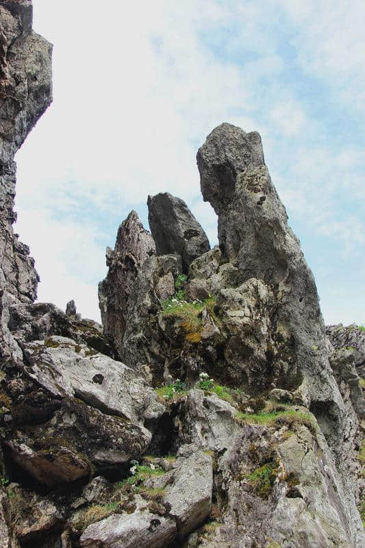 探秘神农架，一天游了四个5A级景区，拼了！