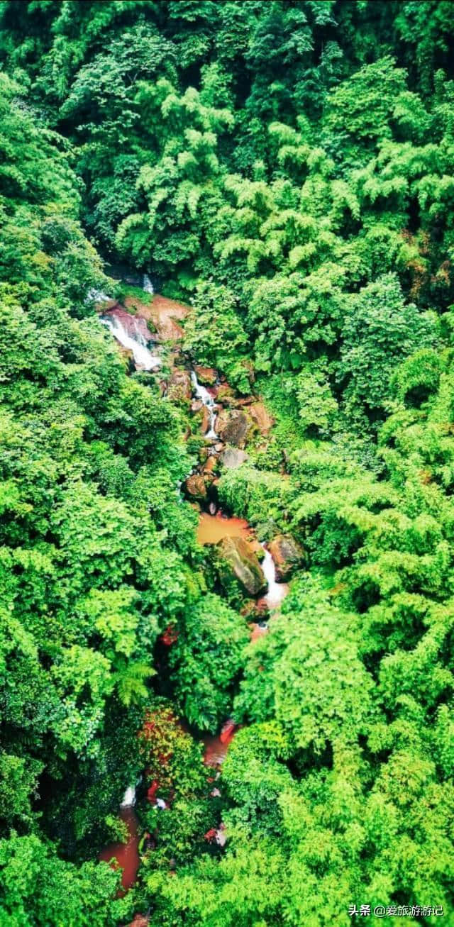 赤水丹霞旅游区·燕子岩！！这才是夏天该有的样子！