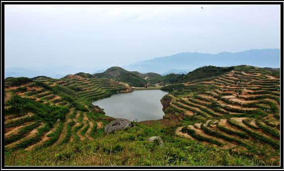 新化县维山天龙生态农业旅游项目研讨会 在新化县华天酒店举行