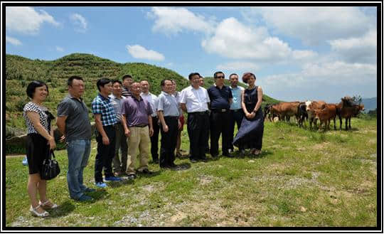 新化县维山天龙生态农业旅游项目研讨会 在新化县华天酒店举行