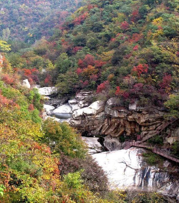 「特别关注」看秋景，到河南，河南省旅游局发布“最美红叶观赏地图”，收藏起来慢慢游