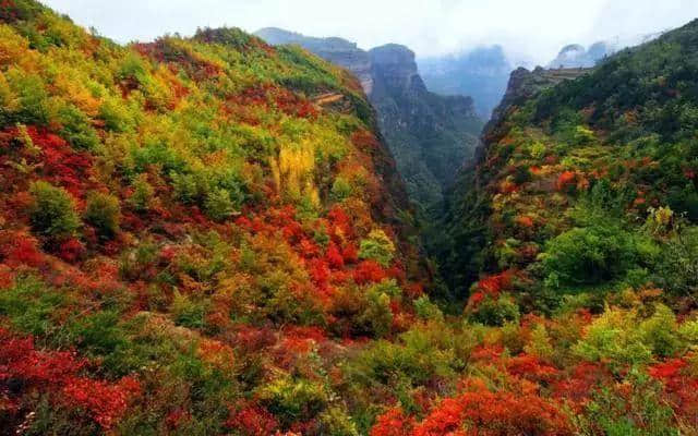 「特别关注」看秋景，到河南，河南省旅游局发布“最美红叶观赏地图”，收藏起来慢慢游