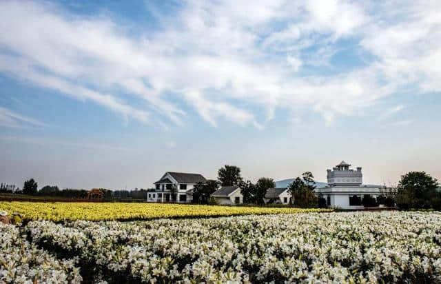 「特别关注」看秋景，到河南，河南省旅游局发布“最美红叶观赏地图”，收藏起来慢慢游