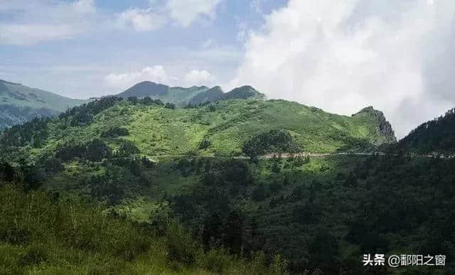 神农架自驾游攻略安排，华中屋脊的洪荒力量，去到山林云海深处！