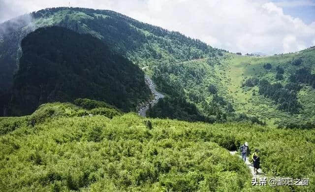 神农架自驾游攻略安排，华中屋脊的洪荒力量，去到山林云海深处！