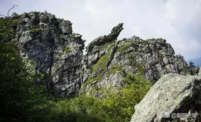 神农架自驾游攻略安排，华中屋脊的洪荒力量，去到山林云海深处！