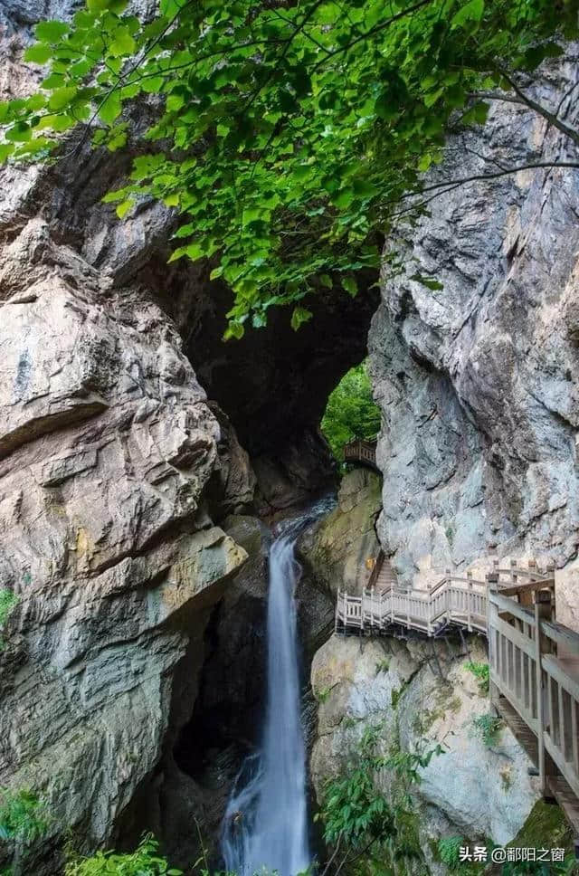 神农架自驾游攻略安排，华中屋脊的洪荒力量，去到山林云海深处！