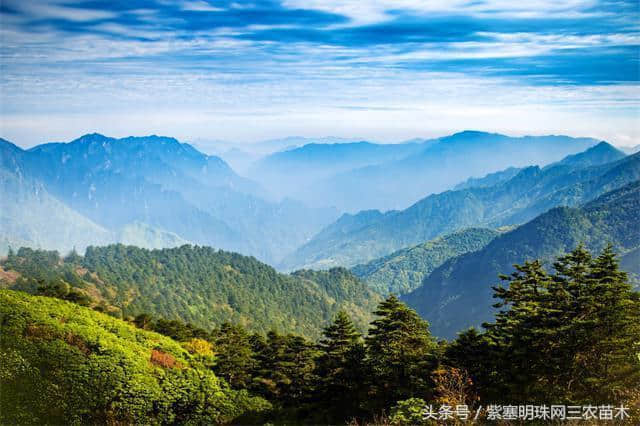 「紫塞明珠」旅游攻略｜神农架避暑农家乐云盘小居观热带绿洲风情