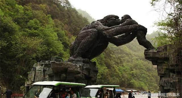 「紫塞明珠」旅游攻略｜神农架避暑农家乐云盘小居观热带绿洲风情