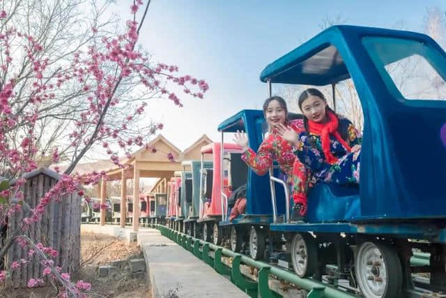 「贺年会」春节过半，您到沂水这些热闹的地方打卡了吗？