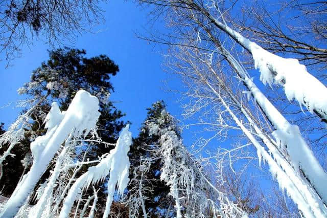 「贺年会」春节过半，您到沂水这些热闹的地方打卡了吗？