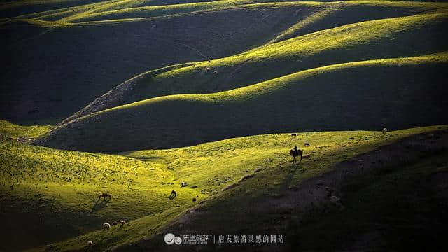 牧游高山上，醉美伊犁州