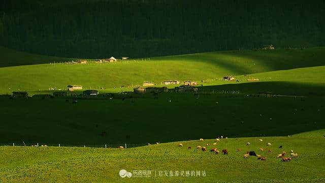 牧游高山上，醉美伊犁州