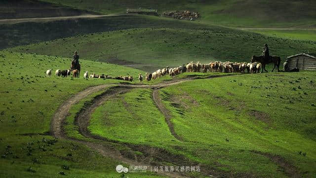 牧游高山上，醉美伊犁州