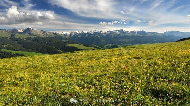 牧游高山上，醉美伊犁州