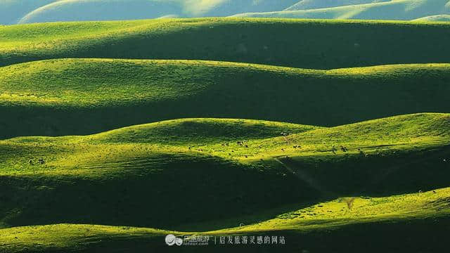 牧游高山上，醉美伊犁州