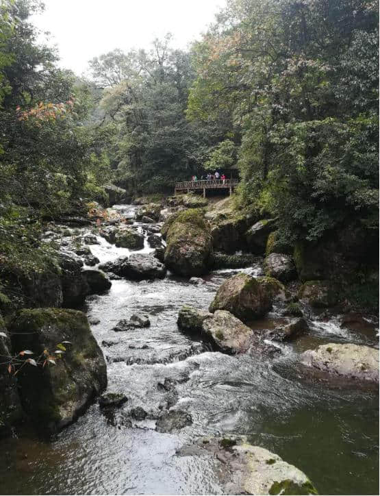 去成都旅游只看这个攻略就够了！原来还能这样玩，这样吃！厉害了