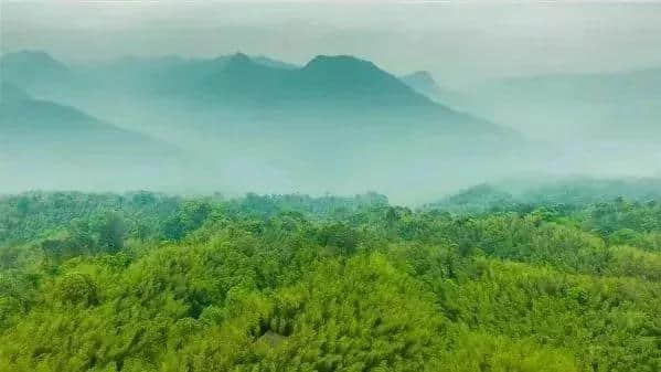 赤水丹霞微视频大赛｜六大景区门票免费送！