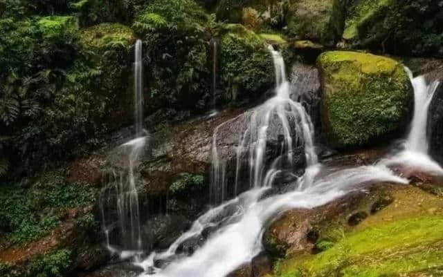 赤水丹霞微视频大赛｜六大景区门票免费送！