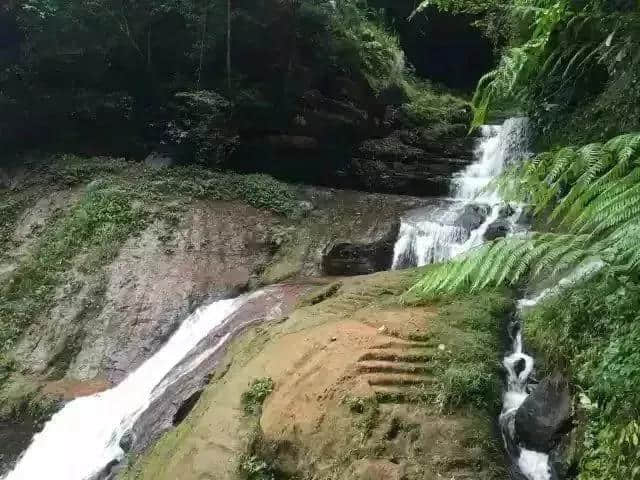 赤水丹霞微视频大赛｜六大景区门票免费送！