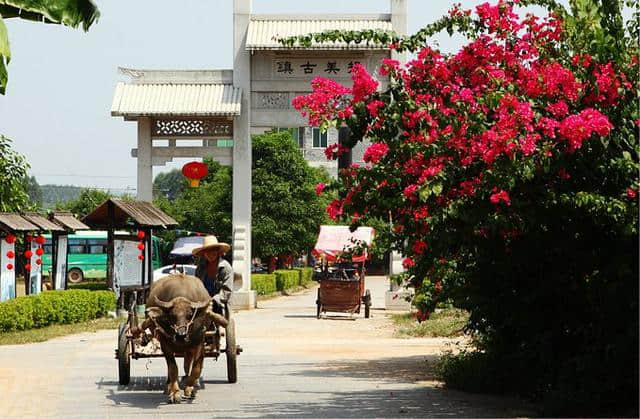 高性价比出行｜8大旅行城市全攻略，景美人少消费低