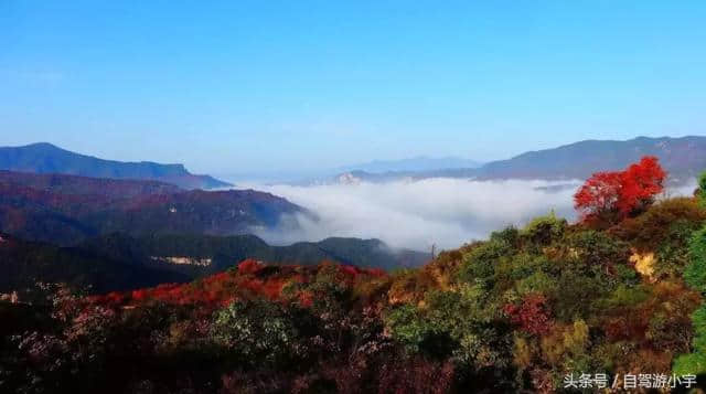 秋季游河南“最美红叶观赏地”推荐