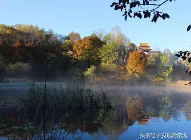 哈尔滨人周末出游小攻略！水世界、爬山、公园啥都有！没想好去哪