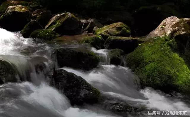 哈尔滨人周末出游小攻略！水世界、爬山、公园啥都有！没想好去哪