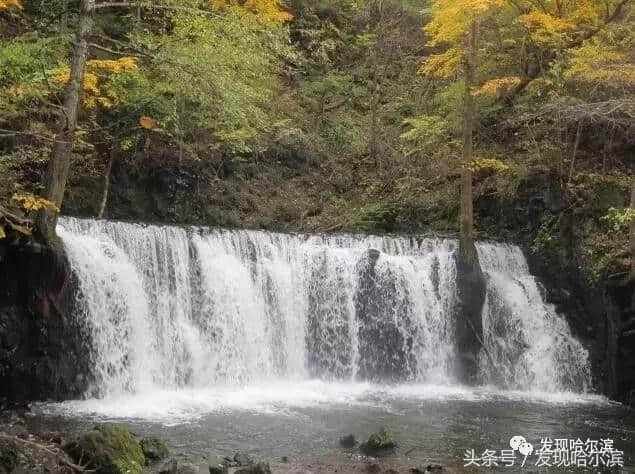 哈尔滨人周末出游小攻略！水世界、爬山、公园啥都有！没想好去哪