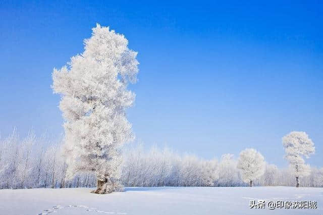 东北旅游景点Top20，这些一年四季值得一去的景点，你去过几个？