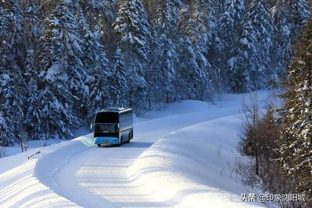 东北旅游景点Top20，这些一年四季值得一去的景点，你去过几个？