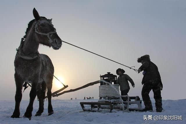 东北旅游景点Top20，这些一年四季值得一去的景点，你去过几个？