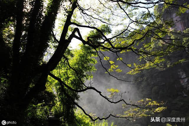 贵州赤水风景名胜及重点景区，你知道有多少？