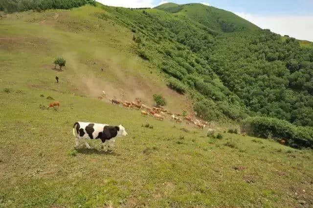 河北这条必去的自驾路线，简直太酷了！