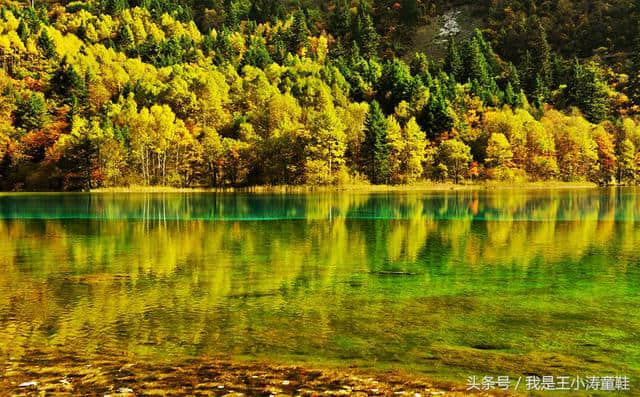 来成都旅游，你可能会注意下面这些，可能对你有帮助